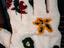 Immagine 1