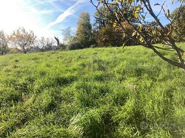 Terreno di 9909 m² a Fonte