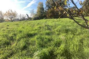 Terreno di 9909 m² a Fonte