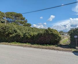 Terreno agricolo Stagnone di Marsala