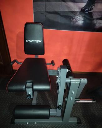 Leg Extension