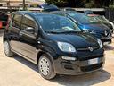 fiat-panda-1-0-firefly-s-s-hybrid-pandina