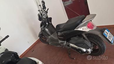 scarabeo 500