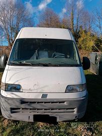 Fiat ducato maxi