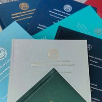 Consulenza e stesura tesi