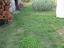 Immagine 19
