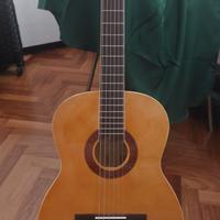 chitarra Eko