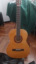 chitarra Eko