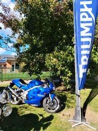 Triumph 955i ricambi 