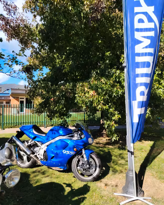 Triumph 955i ricambi 