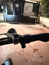 Bici elettrica