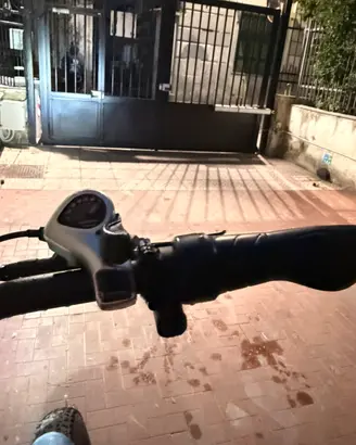 Bici elettrica