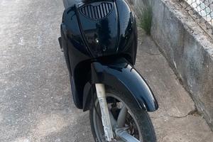 scarabeo