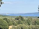 terreno-residenziale-manziana-te100vrg-