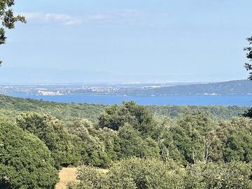 Terreno Residenziale Manziana [TE100VRG]