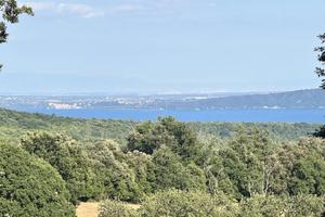 Terreno Residenziale Manziana [TE100VRG]