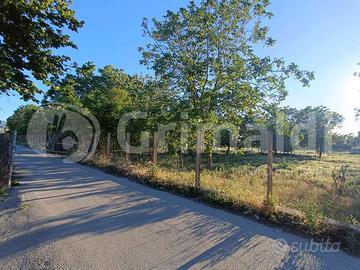 Terreno Agricolo Brusciano [Cod. rif 3319878VRG]