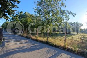 Terreno Agricolo Brusciano [Cod. rif 3319878VRG]