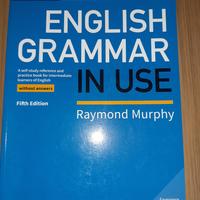english grammar in use libro scuola superiore