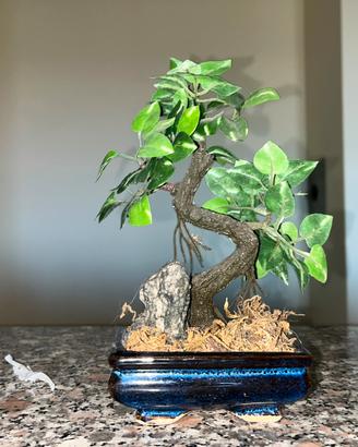 Decorazioni acquario set rocce bonsai delfini