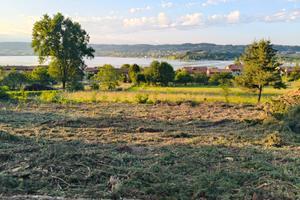 Terreno agricolo a Viverone vista lago