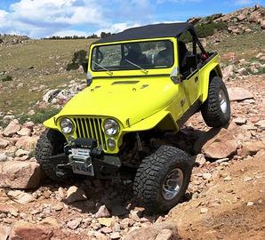 Ricambi jeep cj cj5 cj7 yj wrangler