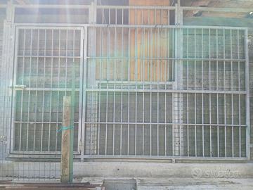 Frontale Box cani