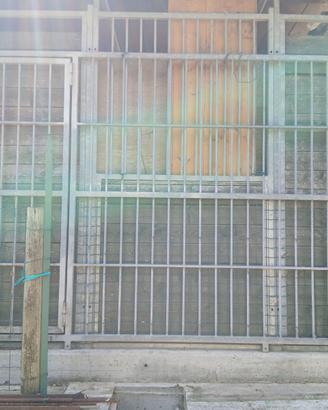 Frontale Box cani