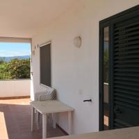 Appartamento trilocale Vieste