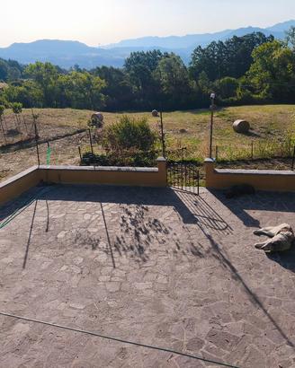 Bi-Familiare con Giardino 