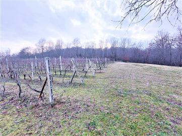 TER. AGRICOLO A CUMIANA