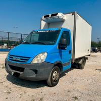 IVECO DAILY 35 cassone frigorifero