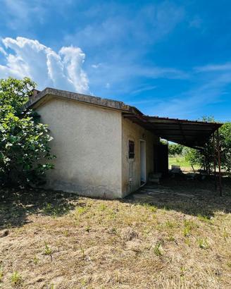 Casa semindip. a - CampagnaCastagneto Carducci