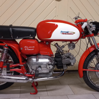Aermacchi ala verde