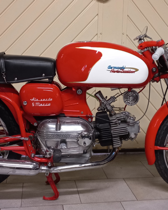 Aermacchi ala verde