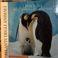 Libro I pinguini