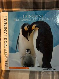 Libro I pinguini