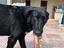 Immagine 1