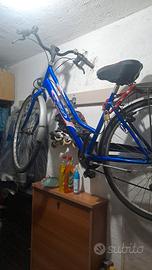 bici da passeggio