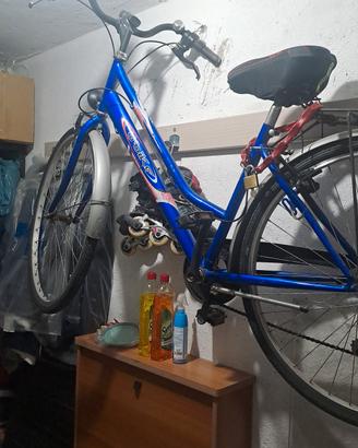 bici da passeggio