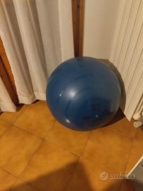 pallone da palestra 