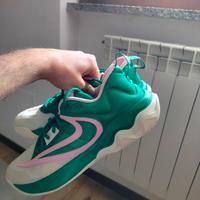 scarpe da basket Nike giannis
