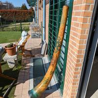 Didgeridoo