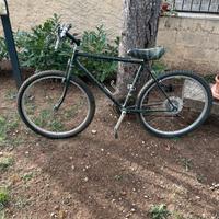 Montain bike