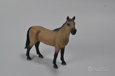 stallone achal-tekkiner schlelich (13690)