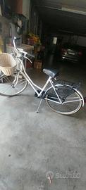 biciclette 