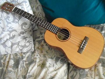 Ukulele baritono Kala KA ABP CTG tavola in cedro