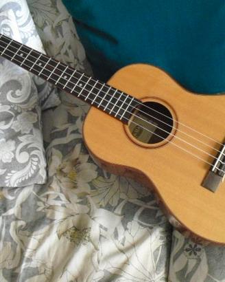 Ukulele baritono Kala KA ABP CTG tavola in cedro