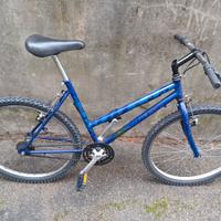 Mountain bike 26 pollici