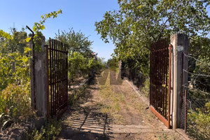 Terreno - Santa Maria di Licodia
